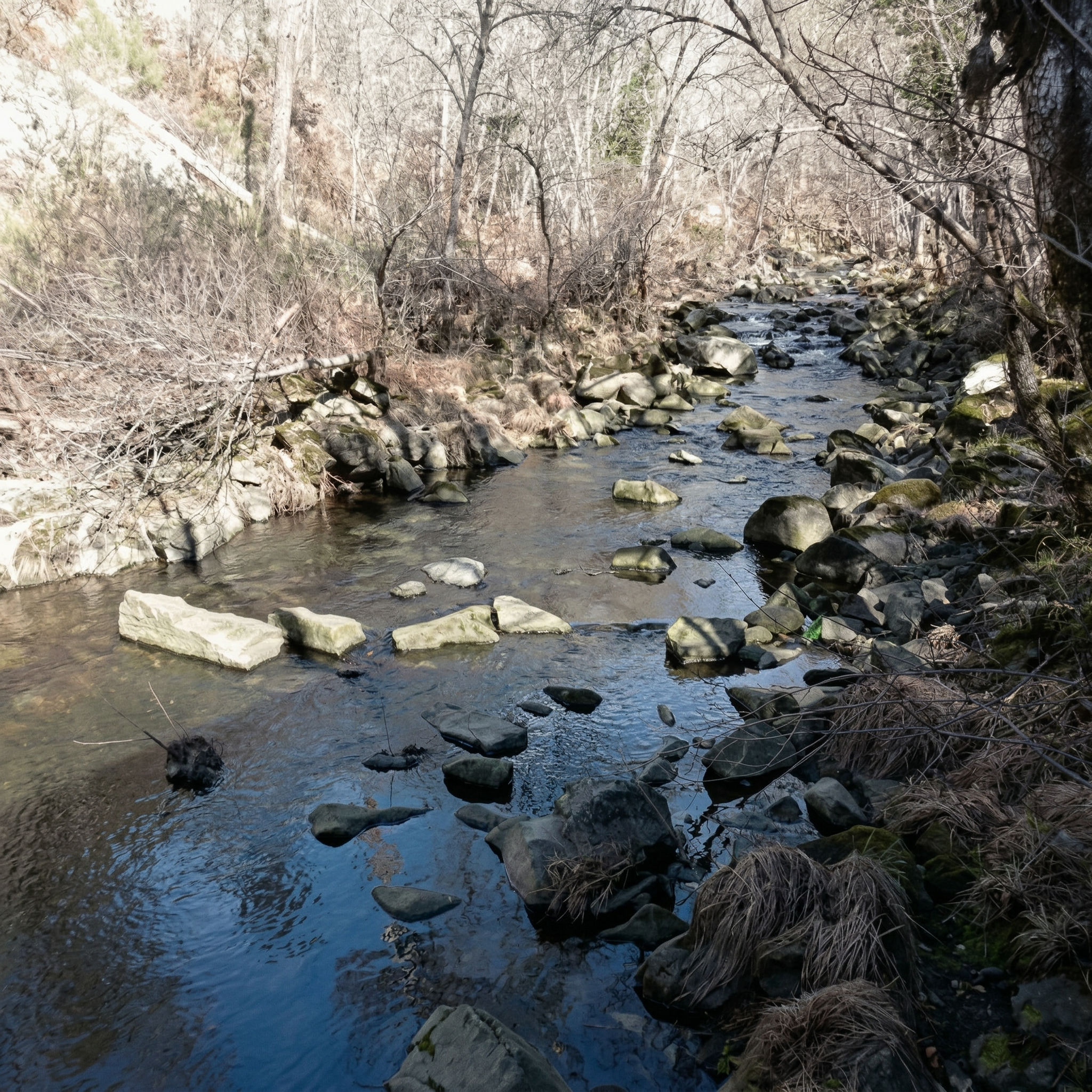 Troço do Rio Vouga em Lordosa